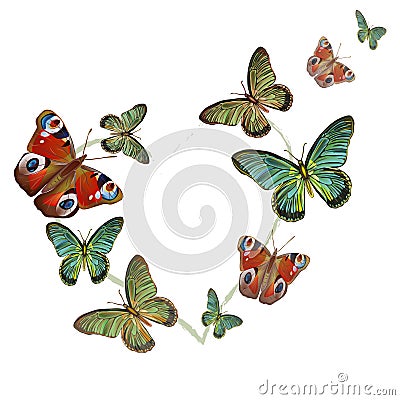 Heart of butterflies on white background Vector Illustration