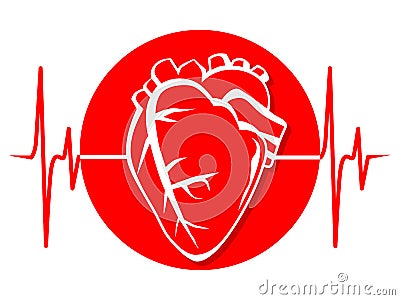 Heart cardiology cardiogram medicine health red print Vector Illustration