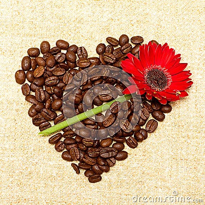 Heart - coffee and red flower on background Stock Photo