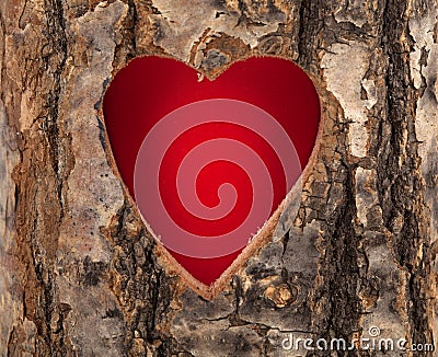 Heart cut in hollow tree trunk Stock Photo