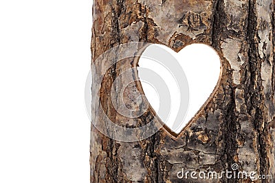 Heart cut in hollow tree trunk. Stock Photo