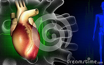 Heart with eco cardio gram pulse Cartoon Illustration