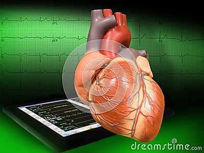 Heart with EKG Stock Photo