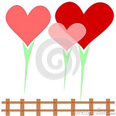 Heart family, 3 hearts surrounded by love on a white background Surrounded by a brown fence Stock Photo