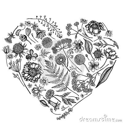 Heart floral design with black and white shepherd`s purse, heather, fern, wild garlic, clover, globethistle, gentiana Vector Illustration