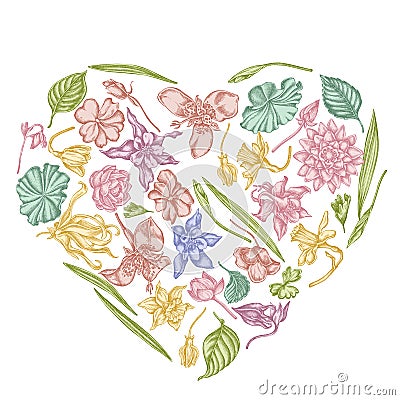 Heart floral design with pastel ylang-ylang, impatiens, daffodil, tigridia, lotus, aquilegia Vector Illustration