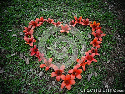Heart flower in green grass Stock Photo