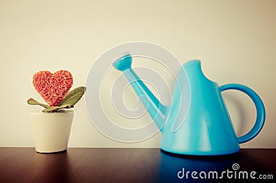 Heart flower with watering can for growing love Stock Photo