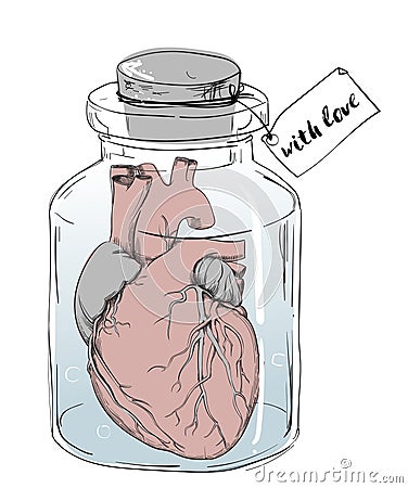 Heart - funny anatomy joke Vector Illustration