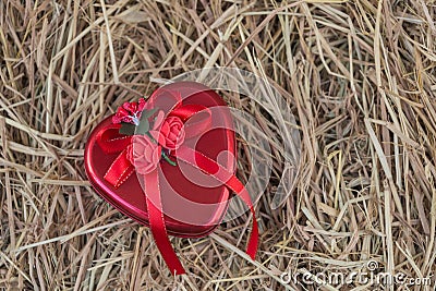 Heart gift box Stock Photo