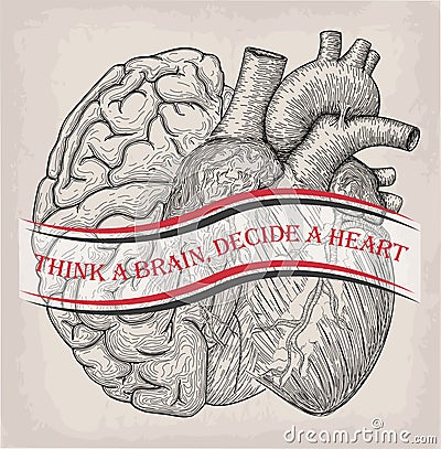 Heart with half brain of human together. Hand drawn print. Vector Illustration