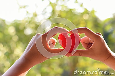 Heart in hand for philanthropy concept - woman holding red heart in hands for valentines day or donate help give love warmth take Stock Photo