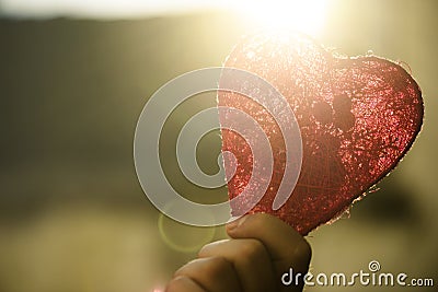 Heart in hand Stock Photo