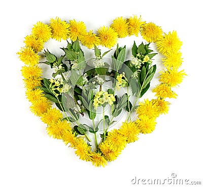Heart with herbs for homeopathy and cooking Stock Photo