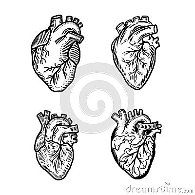 Heart human icon set, hand drawn style Stock Photo