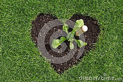 Heart in the lawn with plant and trowel Stock Photo