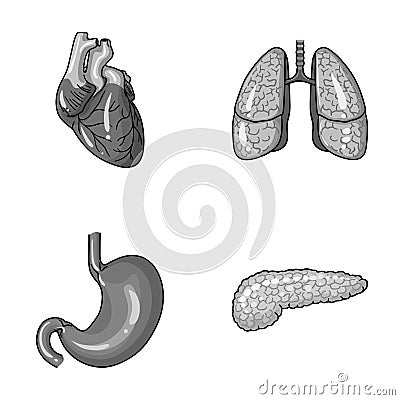 Heart, lungs, stomach, pancreas. Human organs set collection icons in monochrome style vector symbol stock illustration Vector Illustration