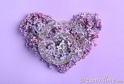 Heart made of blossoming lilac, flat lay. Spring flowers Stock Photo