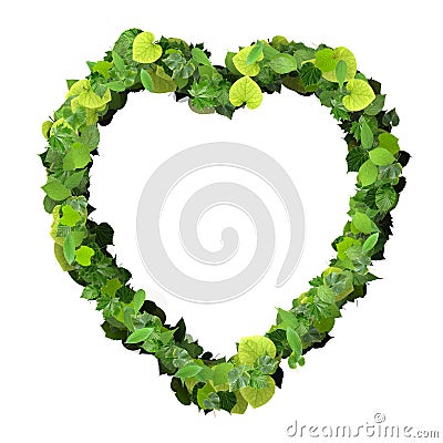 Heart made from green leave. Stock Photo