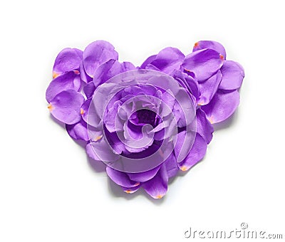 Heart made of rose petals. Blue rose petals heart over white background. Love and romantic theme. Stock Photo