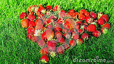 Heart made of strawberries on a green lawn Stock Photo