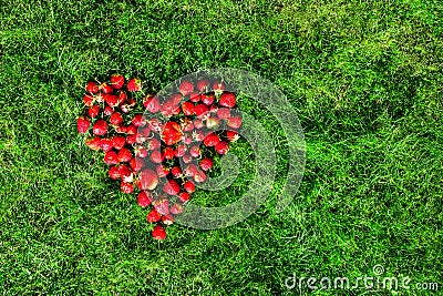 Heart made of strawberries on a green lawn Stock Photo