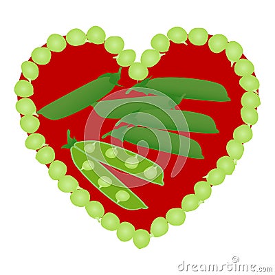 Heart ,pea pods and open peas in pod on white background. Vector Illustration