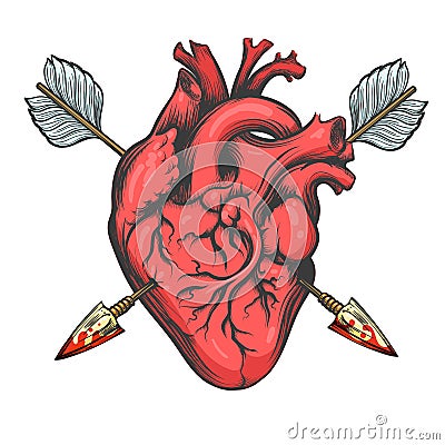 Heart Pierced by Two Arrows Stock Photo