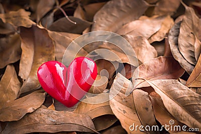Heart in a pile of leaves Stock Photo
