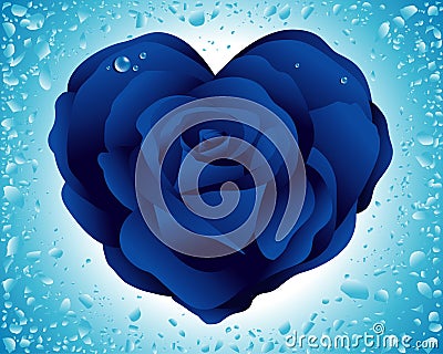 Heart rose Stock Photo