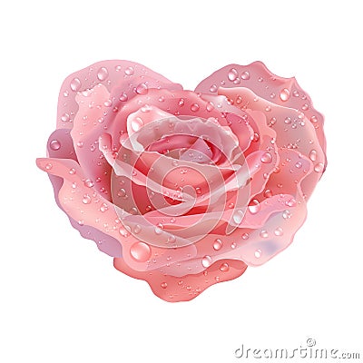 Heart-rose. Vector object flower on a white Vector Illustration