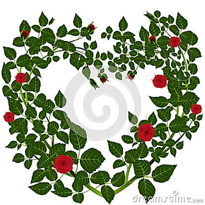 Heart of roses branches Cartoon Illustration