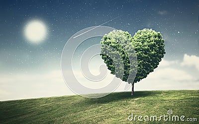 Heart shape of big tree on a mountain landscape with fantasy night sky and shooting star. Stunning views at lonely and lonely Stock Photo