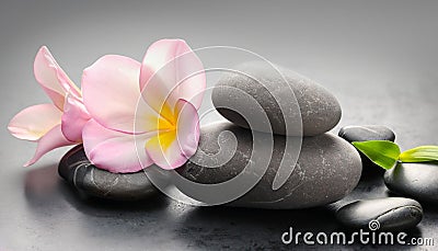 Flower and stone zen spa on grey background Stock Photo