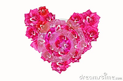 Heart shape from pink damask rose flower Stock Photo