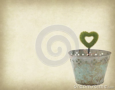 Heart shape plant glow in metal garden pot on grunge textured Stock Photo