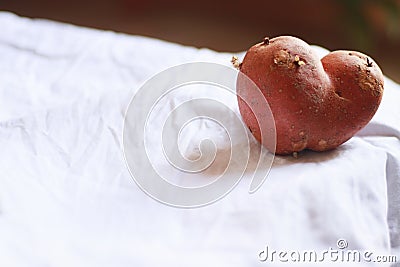 A heart shape potato that is starting to have growing sprout Stock Photo