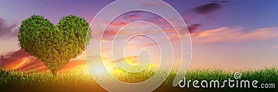 Heart shape tree on grass at sunset. Love, panorama Stock Photo