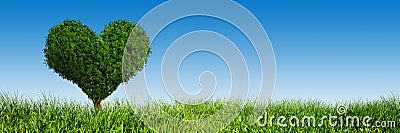 Heart shape tree on green grass. Love, panorama Stock Photo