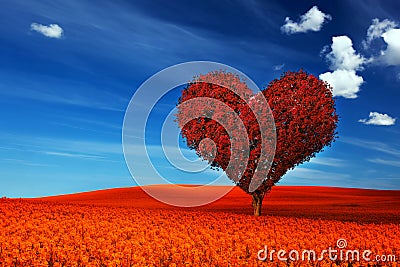 Heart shape tree with red leaves on flower field. Love Stock Photo