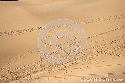 Heart-shaped with footsteps on the desert sand Stock Photo