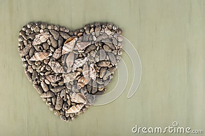 Heart shaped grey various seashells Stock Photo