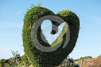 Heart shaped hedge Stock Photo
