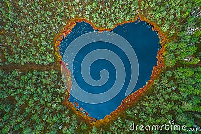 Heart shaped lake in the forest, aerial view Stock Photo