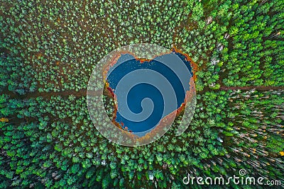 Heart shaped lake in the forest, aerial view Stock Photo