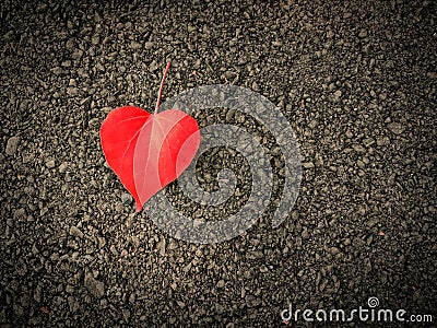 Heart shaped leaves on the floor Stock Photo