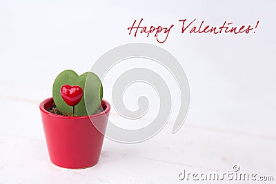 Heart shaped plant with a red heart in a red vase and a 'Happy Valentines!' text Stock Photo