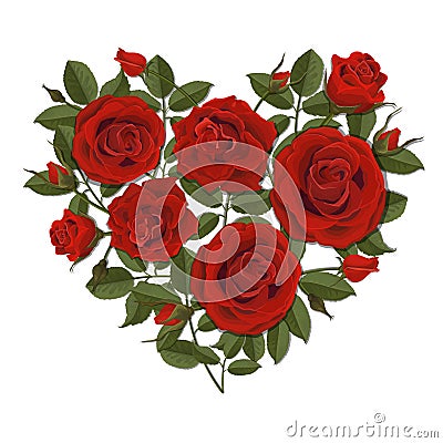 Heart shaped rose bush Vector Illustration