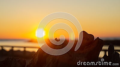 Heart shaped stone liyng treetrunk with sunset and as background Stock Photo