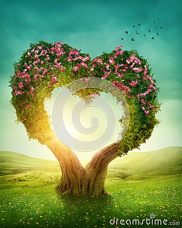 Heart shaped tree Stock Photo